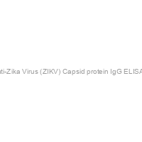 Recombivirus? Human Anti-Zika Virus (ZIKV) Capsid protein IgG ELISA kit, 96 tests, Quantitative
